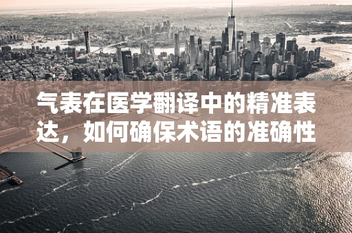 气表在医学翻译中的精准表达，如何确保术语的准确性和可读性？