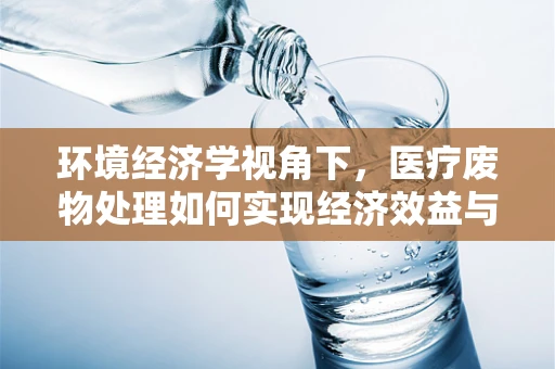 环境经济学视角下，医疗废物处理如何实现经济效益与环境保护的双赢？