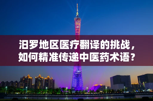 汨罗地区医疗翻译的挑战，如何精准传递中医药术语？