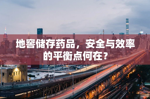 地窖储存药品，安全与效率的平衡点何在？