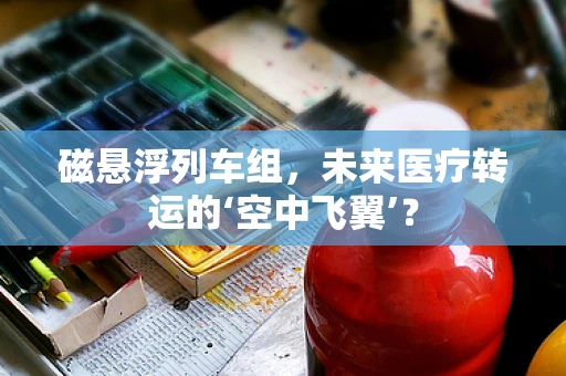 磁悬浮列车组，未来医疗转运的‘空中飞翼’？