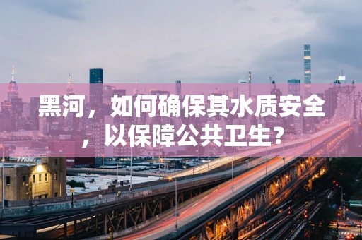 黑河，如何确保其水质安全，以保障公共卫生？