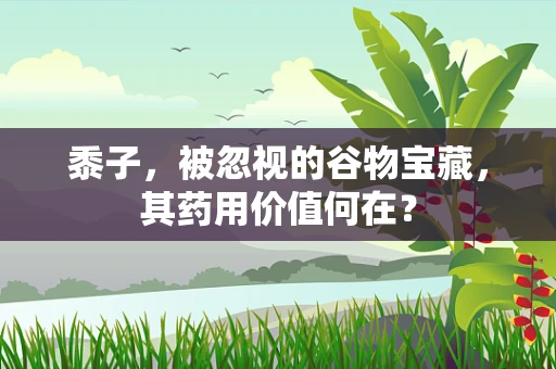 黍子，被忽视的谷物宝藏，其药用价值何在？