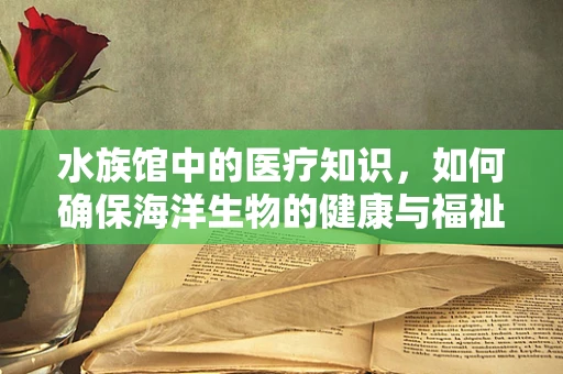 水族馆中的医疗知识，如何确保海洋生物的健康与福祉？
