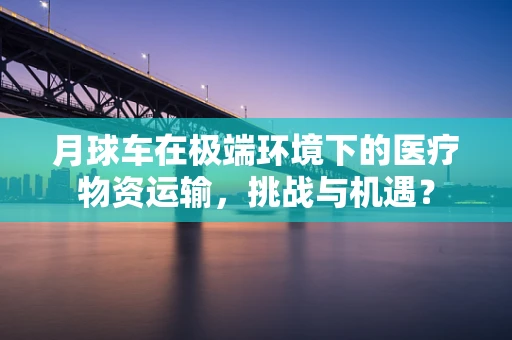 月球车在极端环境下的医疗物资运输，挑战与机遇？