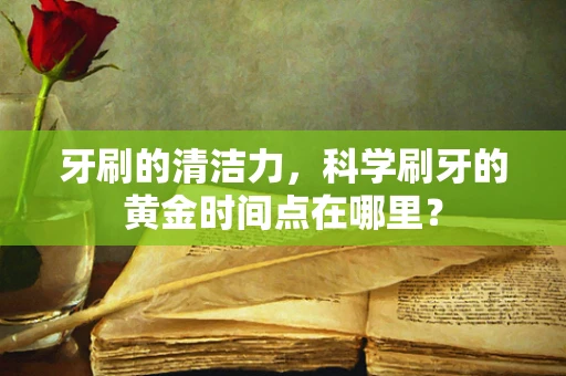 牙刷的清洁力，科学刷牙的黄金时间点在哪里？