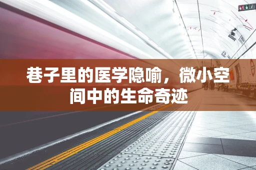 巷子里的医学隐喻，微小空间中的生命奇迹