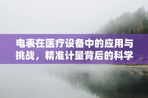 电表在医疗设备中的应用与挑战，精准计量背后的科学