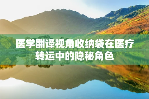医学翻译视角收纳袋在医疗转运中的隐秘角色