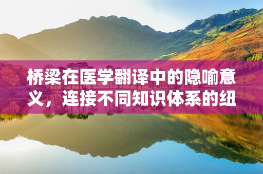 桥梁在医学翻译中的隐喻意义，连接不同知识体系的纽带