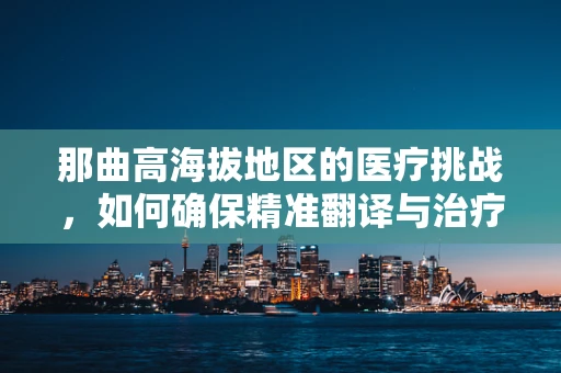 那曲高海拔地区的医疗挑战，如何确保精准翻译与治疗？