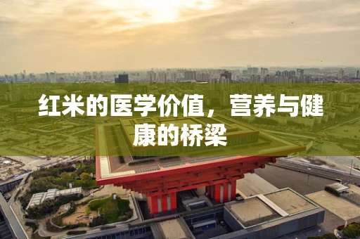 红米的医学价值，营养与健康的桥梁