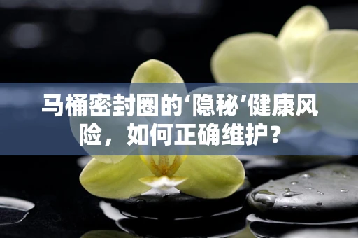 马桶密封圈的‘隐秘’健康风险，如何正确维护？
