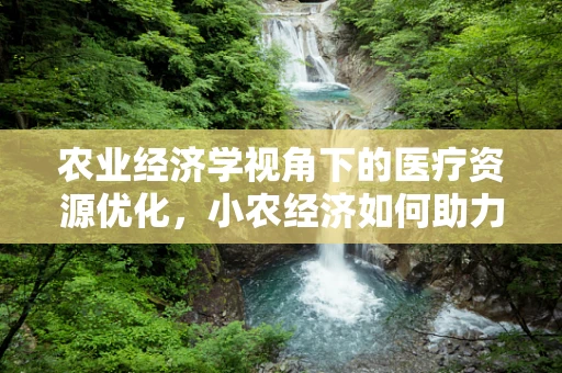 农业经济学视角下的医疗资源优化，小农经济如何助力医疗资源均衡？