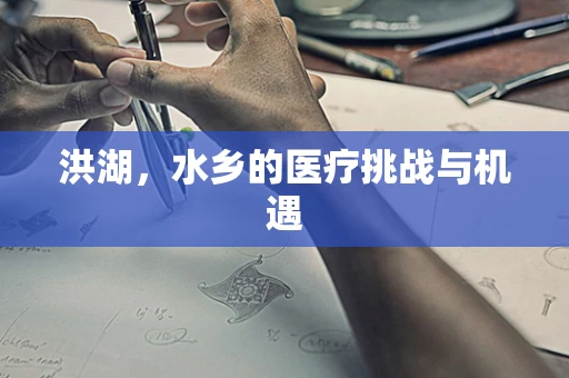 洪湖，水乡的医疗挑战与机遇