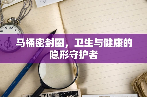 马桶密封圈，卫生与健康的隐形守护者