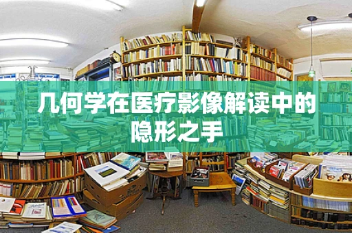 几何学在医疗影像解读中的隐形之手