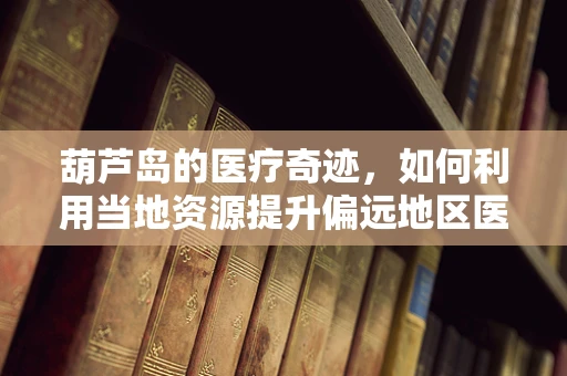 葫芦岛的医疗奇迹，如何利用当地资源提升偏远地区医疗服务？