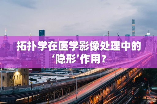 拓扑学在医学影像处理中的‘隐形’作用？