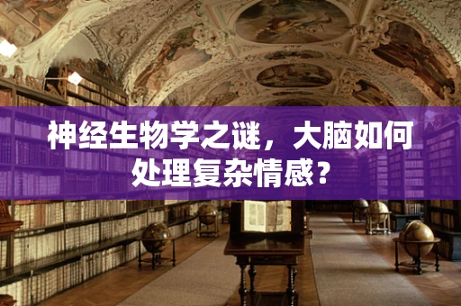 神经生物学之谜，大脑如何处理复杂情感？