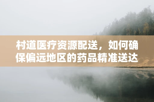 村道医疗资源配送，如何确保偏远地区的药品精准送达？