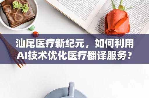 汕尾医疗新纪元，如何利用AI技术优化医疗翻译服务？