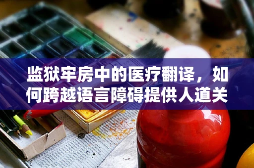 监狱牢房中的医疗翻译，如何跨越语言障碍提供人道关怀？