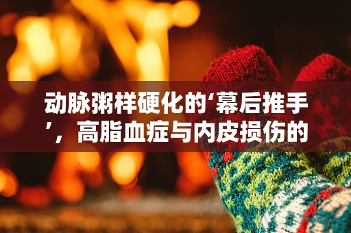 动脉粥样硬化的‘幕后推手’，高脂血症与内皮损伤的双重奏
