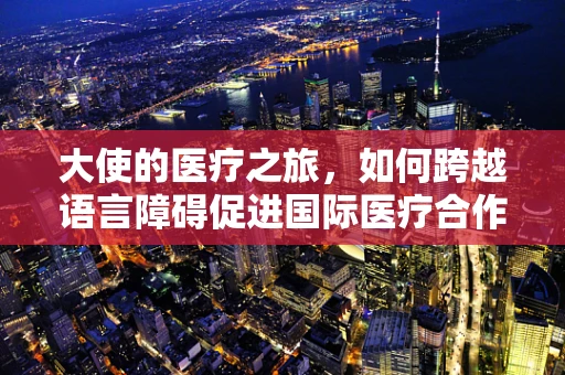 大使的医疗之旅，如何跨越语言障碍促进国际医疗合作？