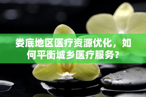 娄底地区医疗资源优化，如何平衡城乡医疗服务？