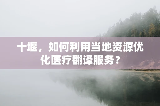 十堰，如何利用当地资源优化医疗翻译服务？