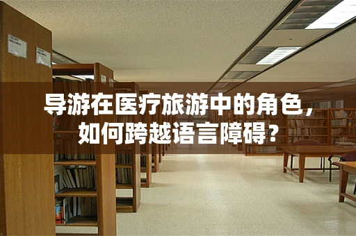 导游在医疗旅游中的角色，如何跨越语言障碍？