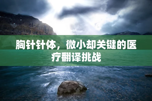胸针针体，微小却关键的医疗翻译挑战