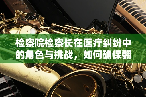 检察院检察长在医疗纠纷中的角色与挑战，如何确保翻译的准确性与公正性？