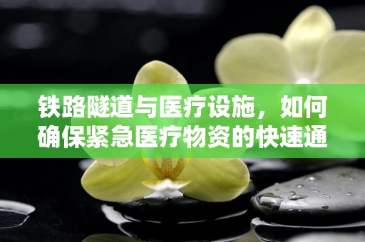 铁路隧道与医疗设施，如何确保紧急医疗物资的快速通过？