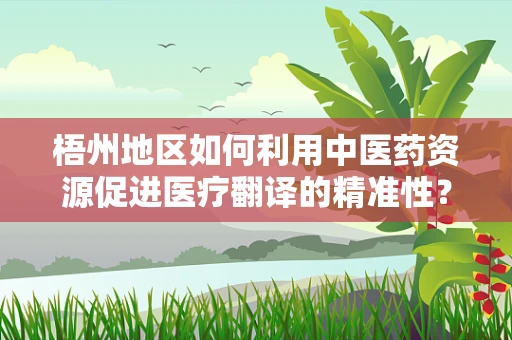 梧州地区如何利用中医药资源促进医疗翻译的精准性？