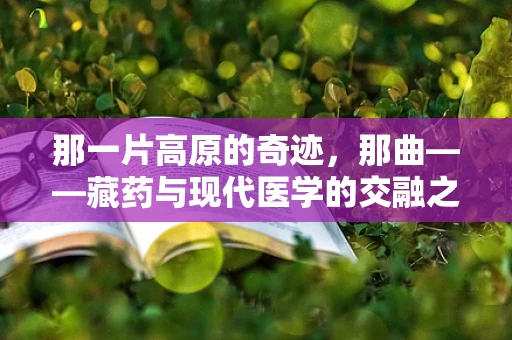 那一片高原的奇迹，那曲——藏药与现代医学的交融之地？