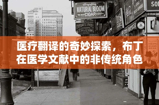 医疗翻译的奇妙探索，布丁在医学文献中的非传统角色