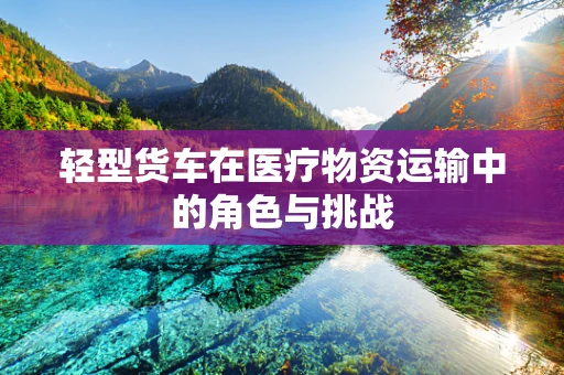 轻型货车在医疗物资运输中的角色与挑战