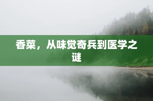 香菜，从味觉奇兵到医学之谜
