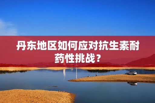 丹东地区如何应对抗生素耐药性挑战？