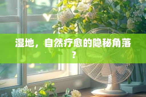 湿地，自然疗愈的隐秘角落？