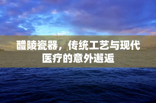 醴陵瓷器，传统工艺与现代医疗的意外邂逅