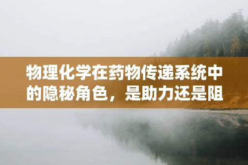 物理化学在药物传递系统中的隐秘角色，是助力还是阻力？