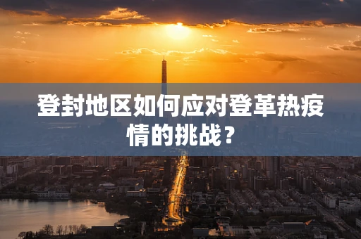 登封地区如何应对登革热疫情的挑战？
