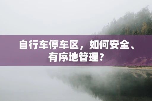 自行车停车区，如何安全、有序地管理？