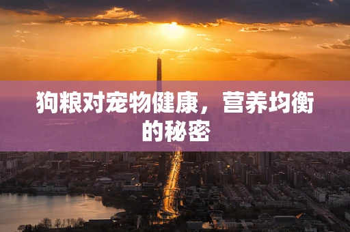 狗粮对宠物健康，营养均衡的秘密
