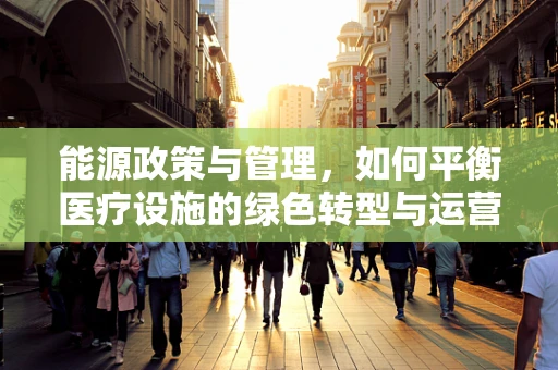 能源政策与管理，如何平衡医疗设施的绿色转型与运营效率？