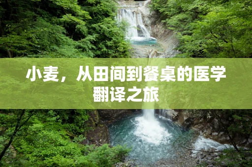 小麦，从田间到餐桌的医学翻译之旅