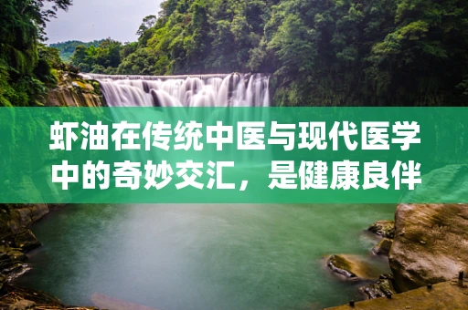 虾油在传统中医与现代医学中的奇妙交汇，是健康良伴还是潜在风险？